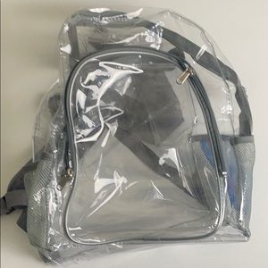 Transparent backpack